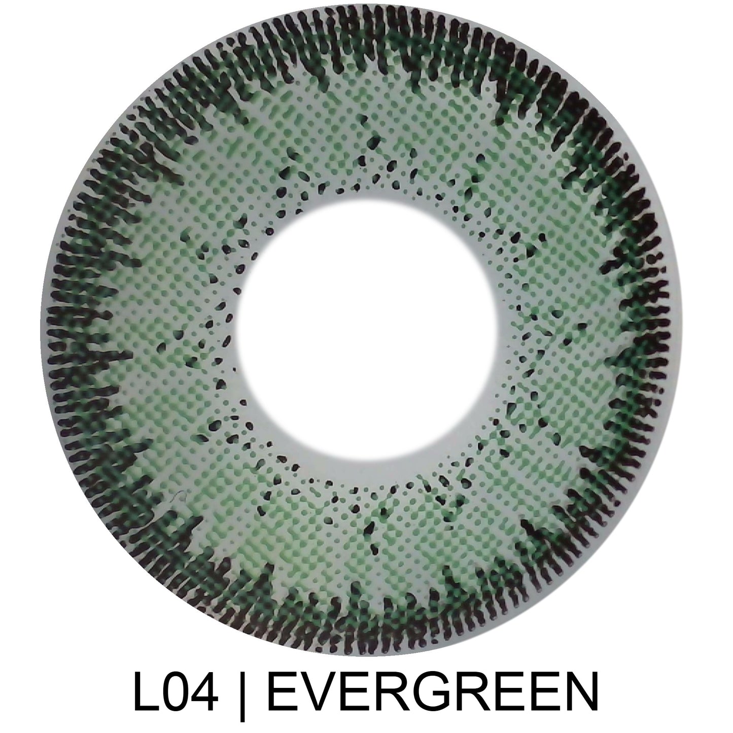 I04 | EVERGREEN