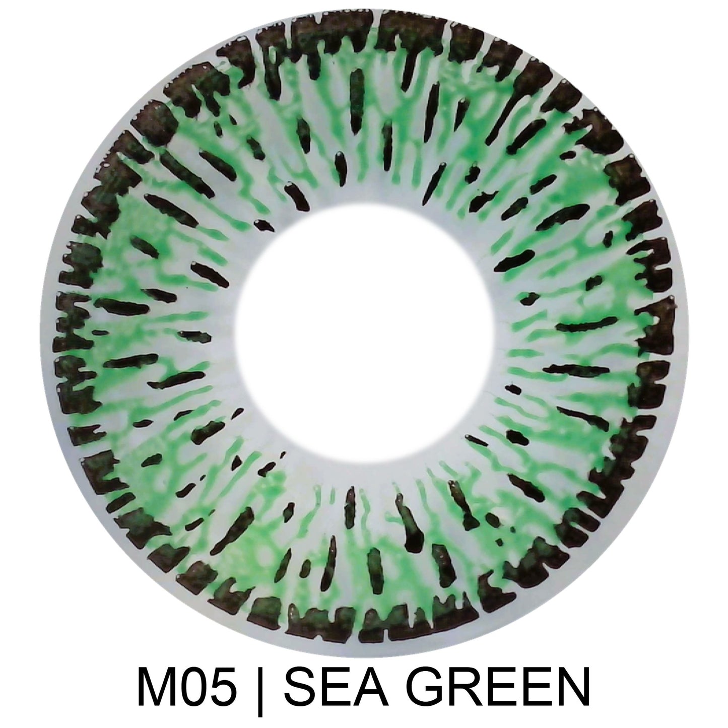 M05 | SEA GREEN