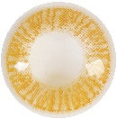 N1 | HAZEL | RainbowComplete (4466199691324)